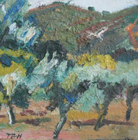 - Tony Birks-Hay - „Olive trees”, 39 x 39 cm, Öl auf Leinwand, 2010
